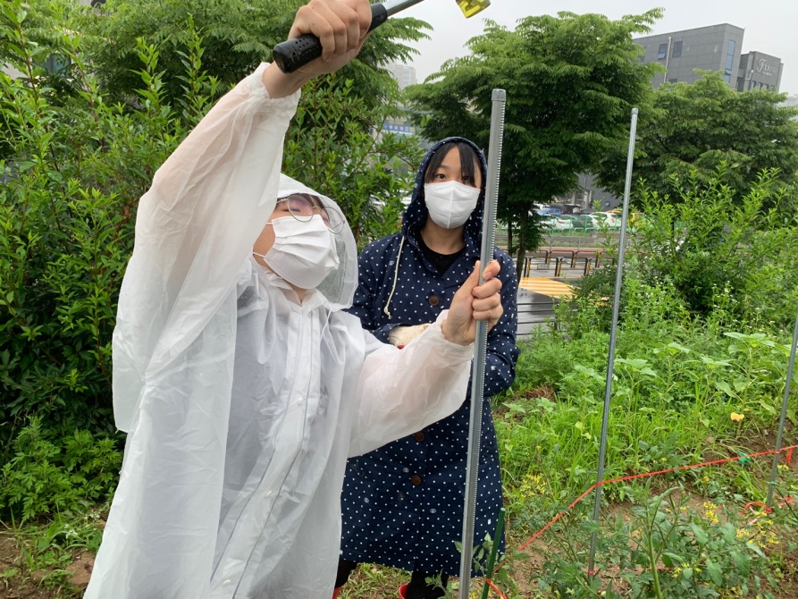 7학년 농사
