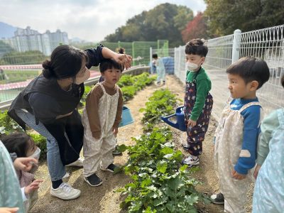 k_2024_12_유치원